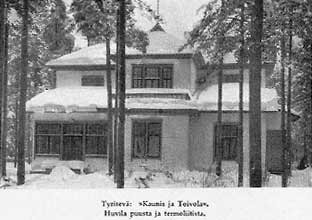 Dacha built of wood and termolite