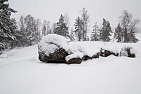 Остров Хапененсаари - Фруктовый